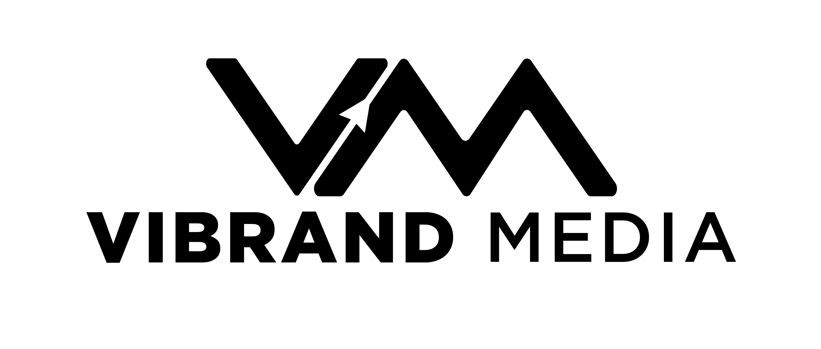 Logo 2 05, Vibrand Media
